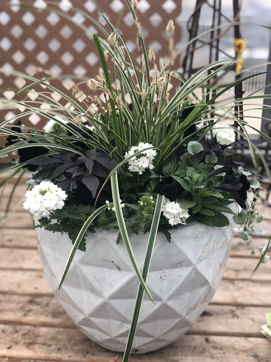 The Barn Nursery On Twitter We Love Creating Custom Containers