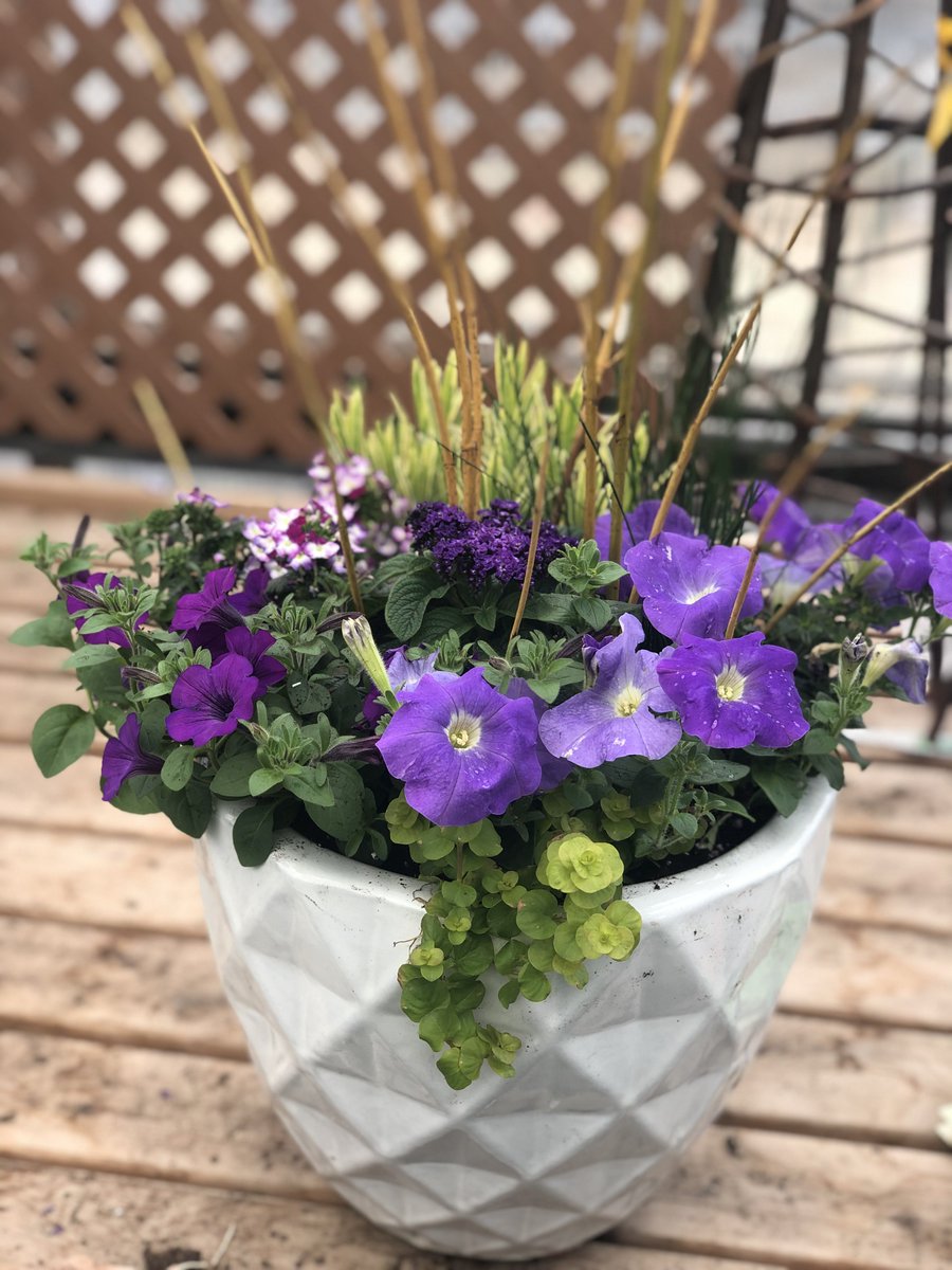 The Barn Nursery tweet media