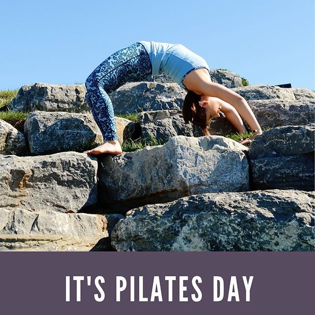 AllisonZang's tweet photo. It’s Pilates day get in on the action! #plilatesday2019 https://t.co/8AnMJELUid https://t.co/dQREA5Qy6R