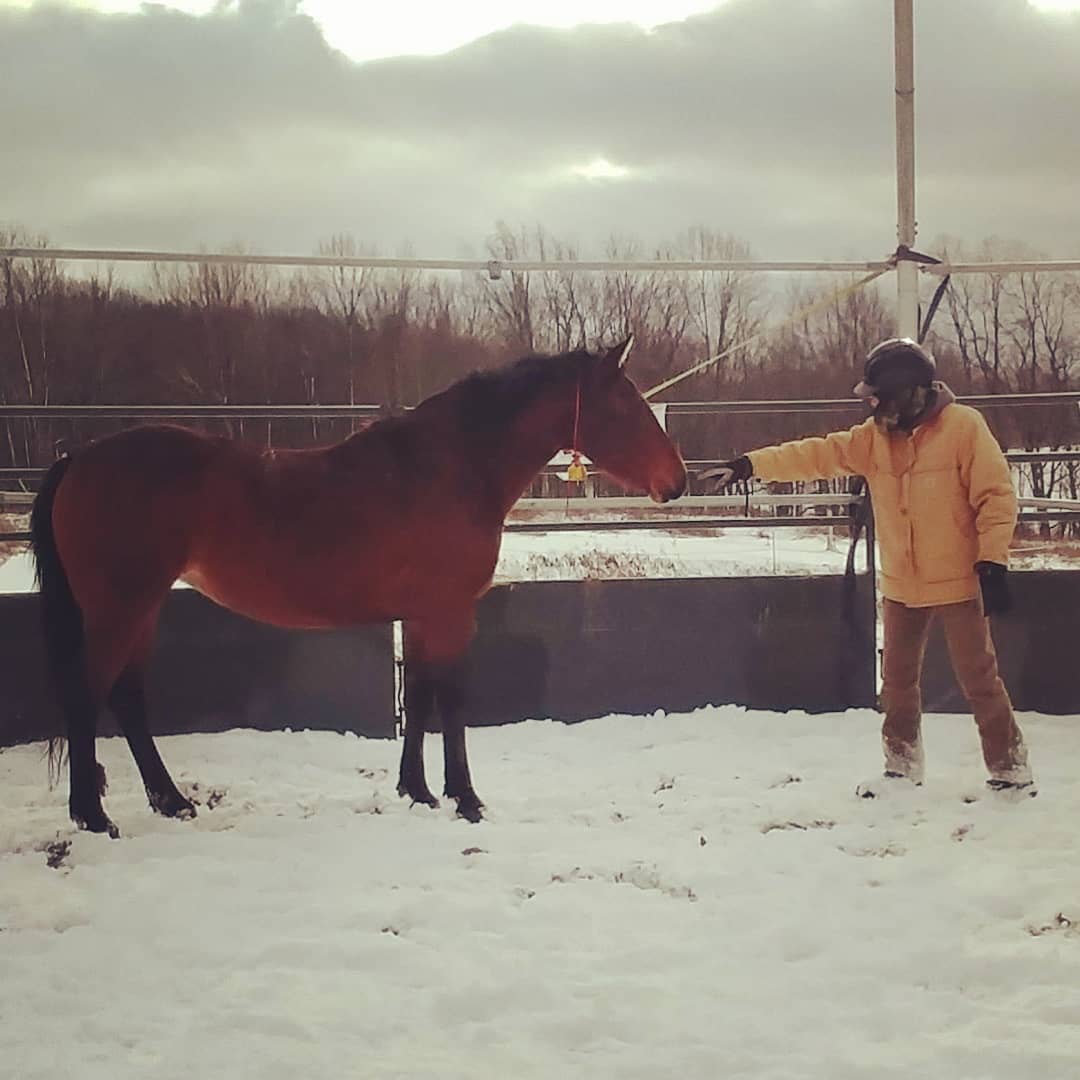 EquiCenterNY's tweet photo. Altho this post is from Jan., it reminds us all of the importance of #connectionsforhealing. Even btwn #horses & people. That's what our #missionmustang program is all about. Thnx 2 trainers from @rosehillranch for our #Veterans #equicenter #humananimalconnection #mustang #PTSD https://t.co/iCaYSWHlC9