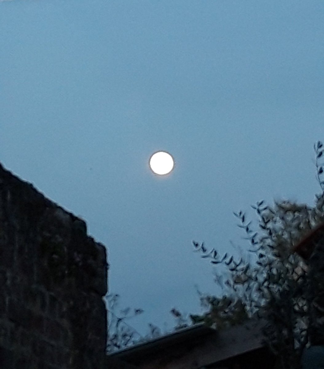 Même le week-end on travaille pour vous faire un joli #cadeau visuel. Notre #exposition est quasiment terminée ! On fignole, on paufine et on affine pour essayer d'atteindre la #perfection 
#Amiens #gen #LTA #Art