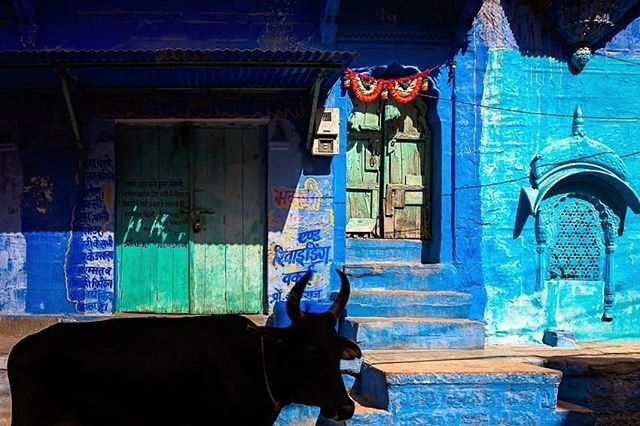 Jodhpur, India⁣
⁣ ⁣
#jodhpur #streets_storytelling #fromstreetswithlove #capturestreets #spjstreets #life_is_street #zonestreet #lonelyplanetindia #indiapictures #india_everyday #streetphotographyindia #indianphotography #indiaphotography #_coi #stor… bit.ly/2Lo82Ux