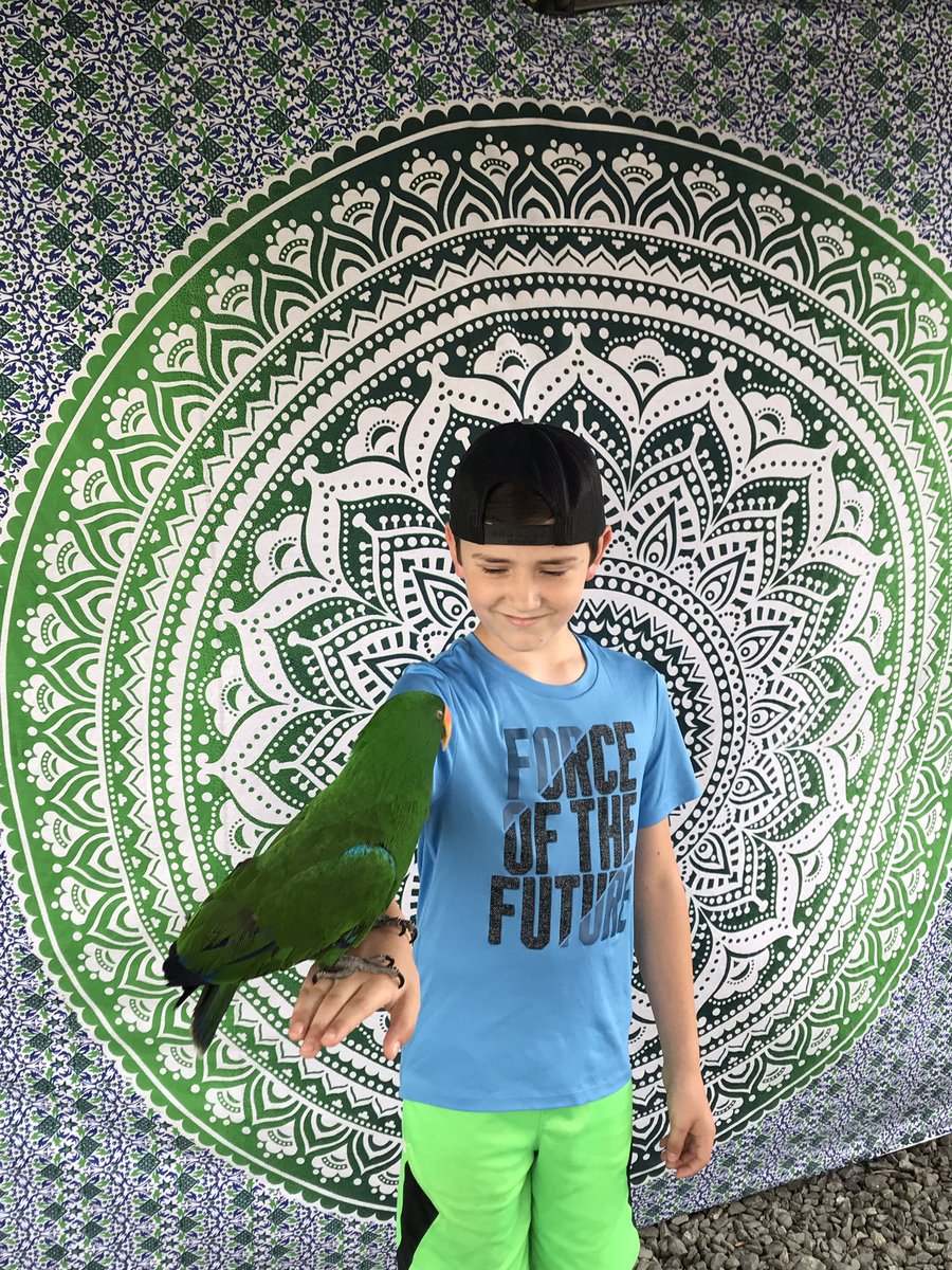 barks_n_brews's tweet photo. Jake the Bird made a new friend! Only $1 to take a picture with Jake! All donations going to Watauga Humane Society! https://t.co/QltSs7TvtE