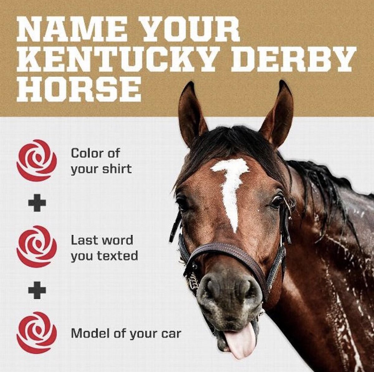 Foodiechats's tweet image. Happy Derby Day 🐎 🐎🐎🐎🐎🐎🐎🐎🐎🐎🐎🐎🐎🐎🐎@KentuckyDerby This is fun #Foodiechats friends. Let it Ride! Giddy Up! #KentuckyDerby #KYDerby #Churchhilldowns