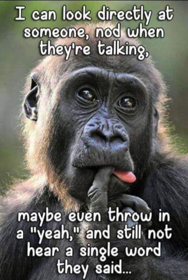 SheilaBx2's tweet image. I can also type tweet with my thumbs while staring irl people in their face lol 😂 #twitteraddict