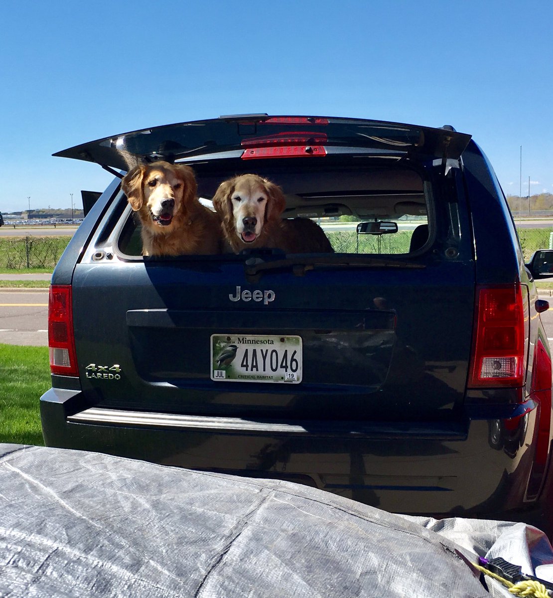 darbijothegoldn's tweet photo. @abbygoldgirl We got to go to the compost site at least— they have biscuits! #smilinggirls https://t.co/u31BTq3RbQ