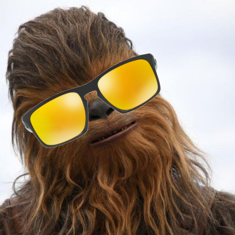 designeroptiks's tweet photo. Hair The 4th Be With You (Dont Make A Wookie Mistake, Choose Oakley) #StarWarsDay #MayThe4thBeWithYou

Check Out Our Oakley Range Here - https://t.co/uLPcQQBMWh https://t.co/fEjJM4Lilu