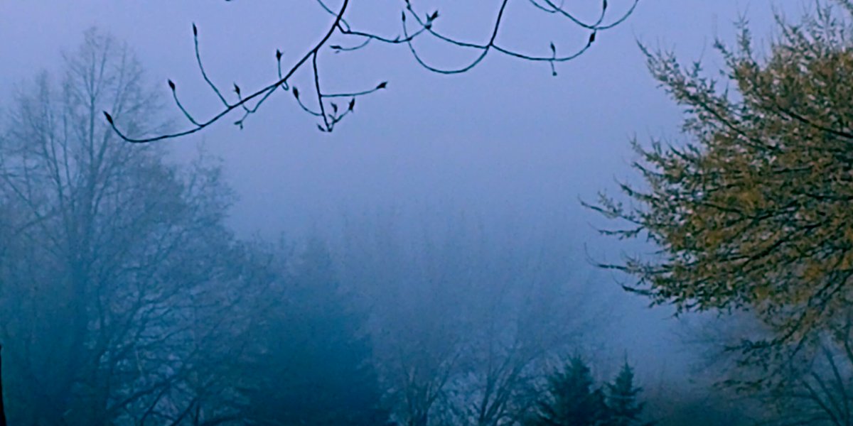 TepleyVictoria's tweet image. Beautiful fog lift. #GloriousSaturday