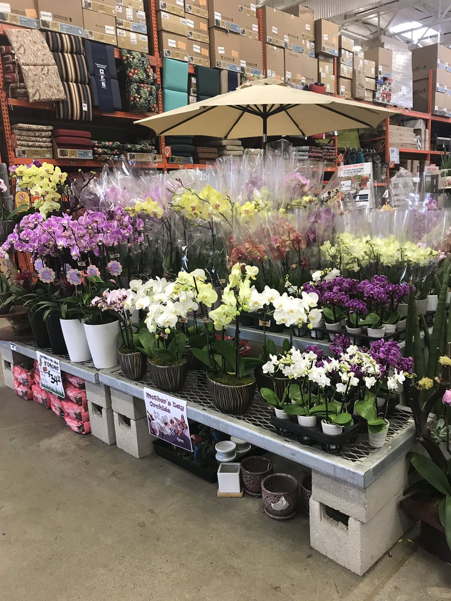 NealJohnson37's tweet photo. Come on down to the Ranch #669 and shop our beautiful selection of Mothers Day orchids and hydrangeas 🌸🌿🌺 #allin atTheRanch @Aaron_C_Gomez @sam_rosenbergHD @BobJCrowder @Fernando_0669 @NotoKara https://t.co/YRaxVavOFS
