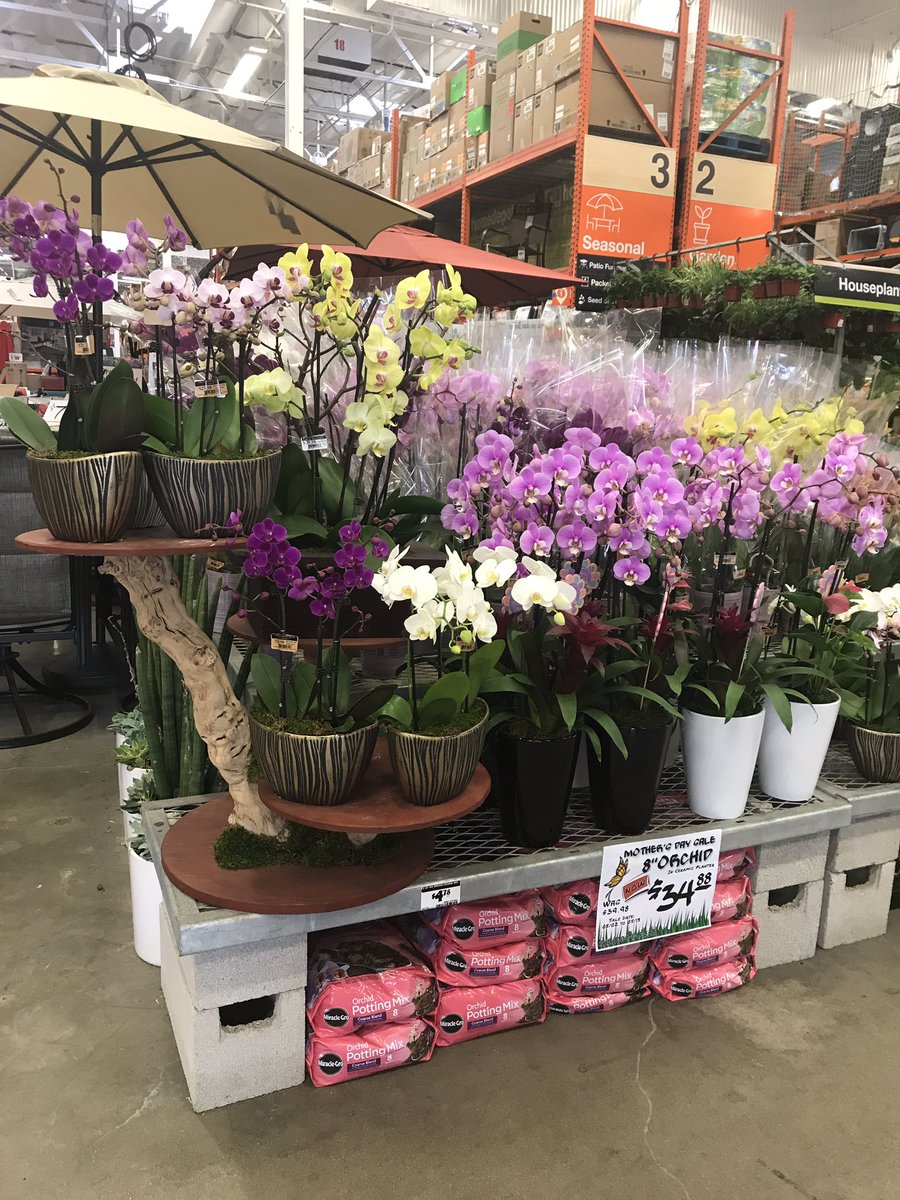 NealJohnson37's tweet photo. Come on down to the Ranch #669 and shop our beautiful selection of Mothers Day orchids and hydrangeas 🌸🌿🌺 #allin atTheRanch @Aaron_C_Gomez @sam_rosenbergHD @BobJCrowder @Fernando_0669 @NotoKara https://t.co/YRaxVavOFS