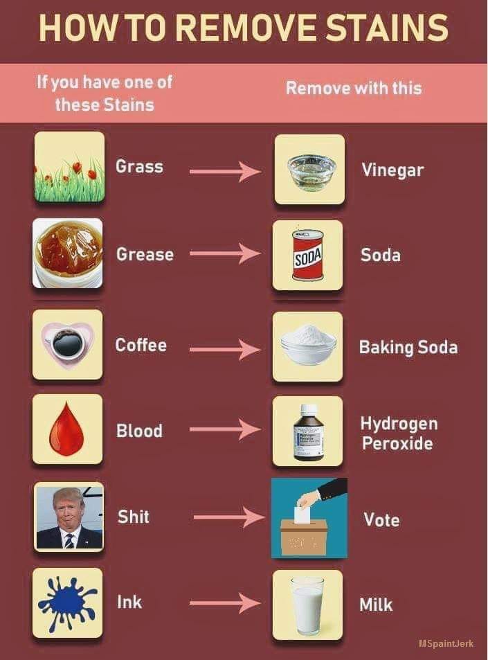 copperfields18's tweet image. Stain Removal Hints #hintsfromheloise #TraitorTrump