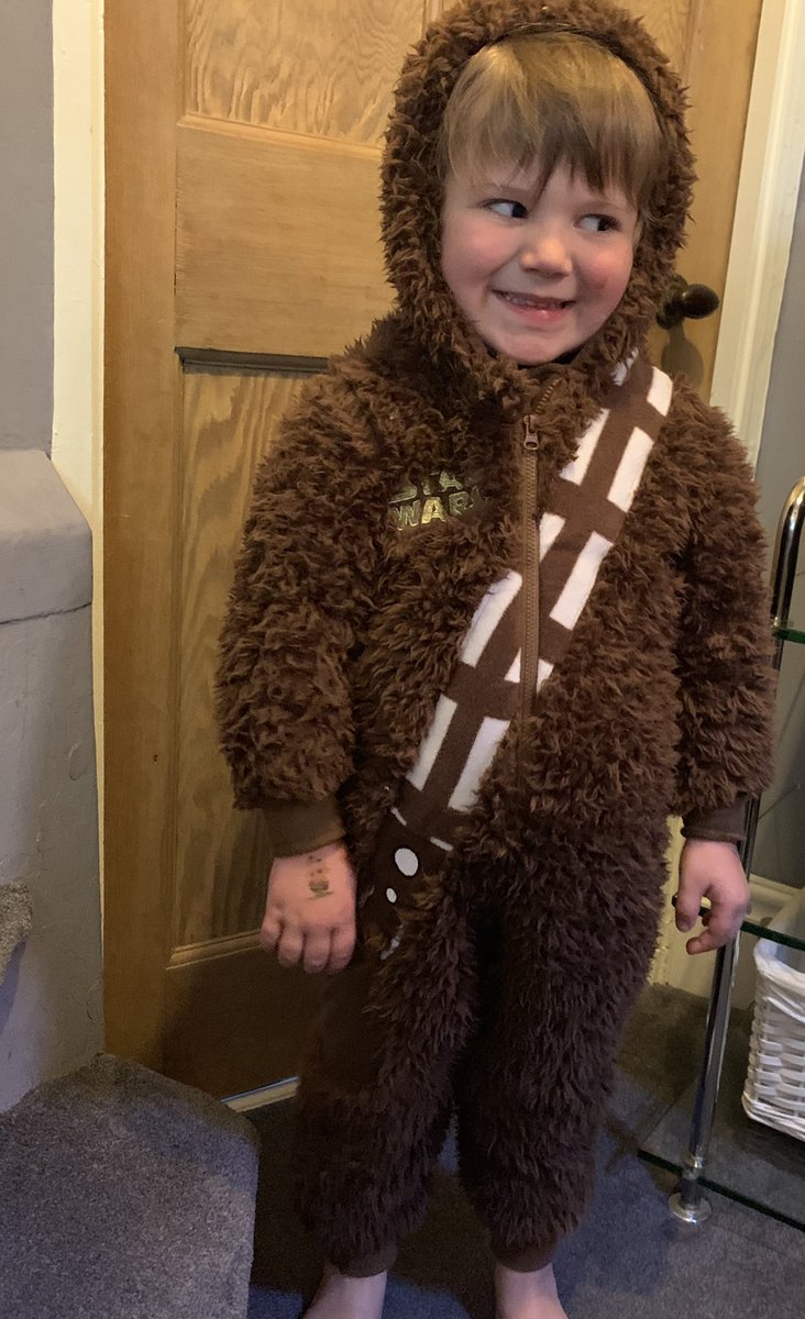 AbbieSBrooks's tweet photo. #MayTheForthBeWithYou #StaWarsDay from my little #Chewwie
#RIPpetermayhew https://t.co/x5nzhSbs7T