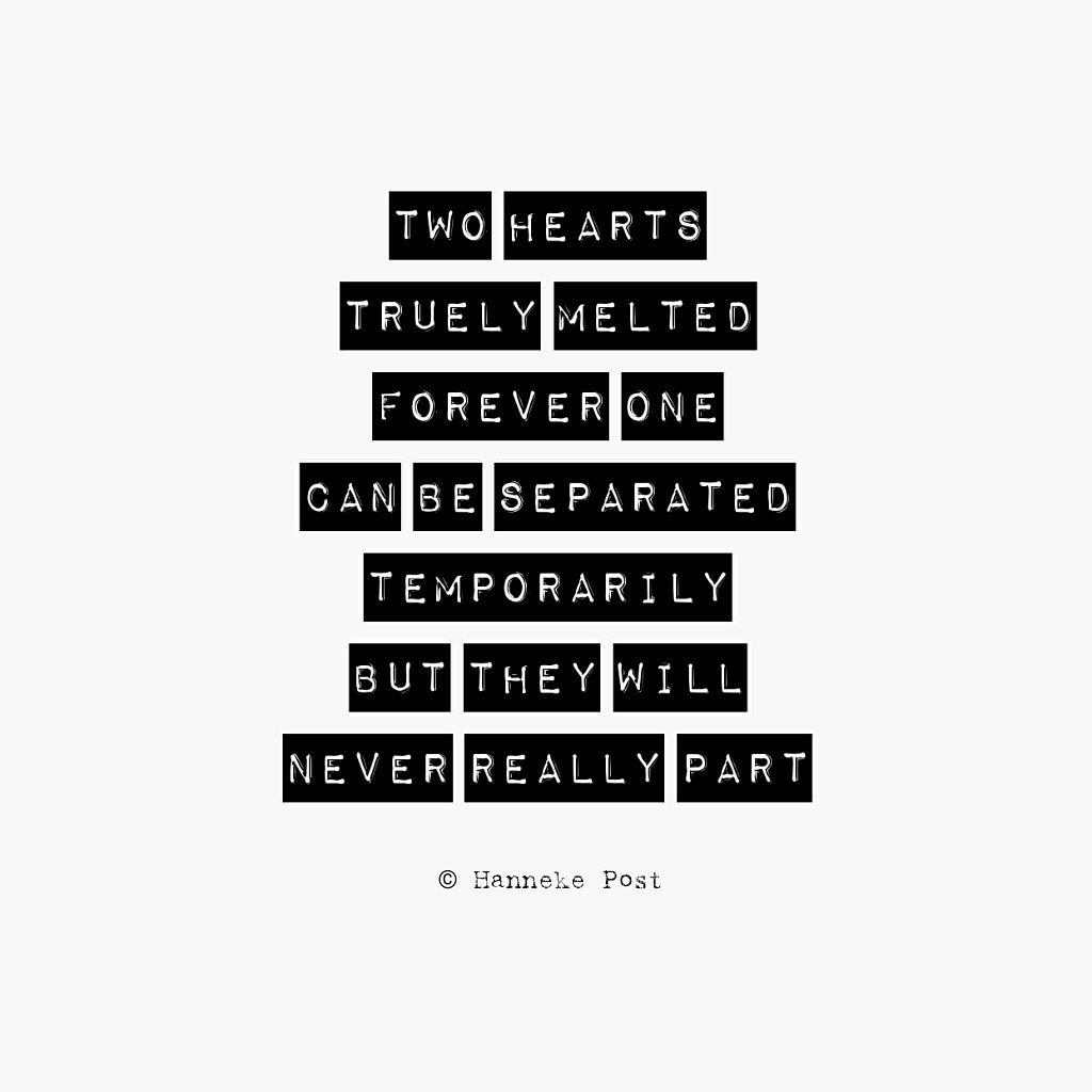 Postidtweet's tweet photo. #postid  #poem

#star #inourhearts #forever #foreverinmyheart #neverforget #remember #alwaysremember #grieve #remember #lovedones #grieving #trueloveneverdies #death #poetry #poems #poemoftheday #poet #poets #poetrycommunity #writing #instapost #instaposts #writerslife https://t.co/lVI0oFyts9