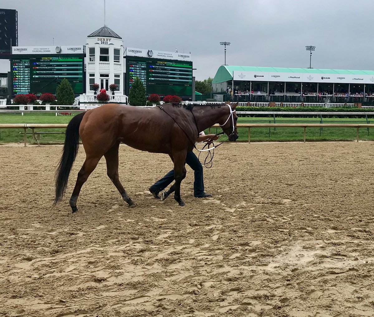 SaratogaGoose's tweet photo. Ms Mia Mischief walks home a winner! #HumanaDistaff #KYDerby https://t.co/gsHQDSnEOl