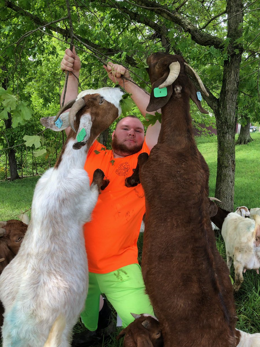 mhaas54's tweet photo. I’m a goat whisperer https://t.co/7O1OHDIwHO
