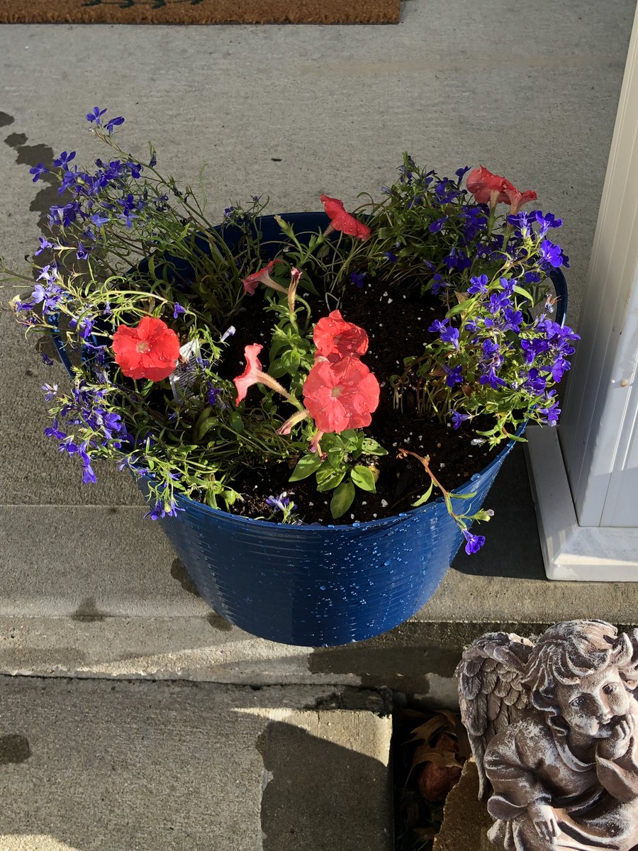 GrowBryan's tweet photo. Thank you NEN Teachers for the book,  bucket and kind notes. What to do with the bucket...🤔...Fill it up!!! Enjoy this beautiful spring weather. #NENPride #Thankful #LeadWithASmile @NENbluejays https://t.co/zTbpeehBSa