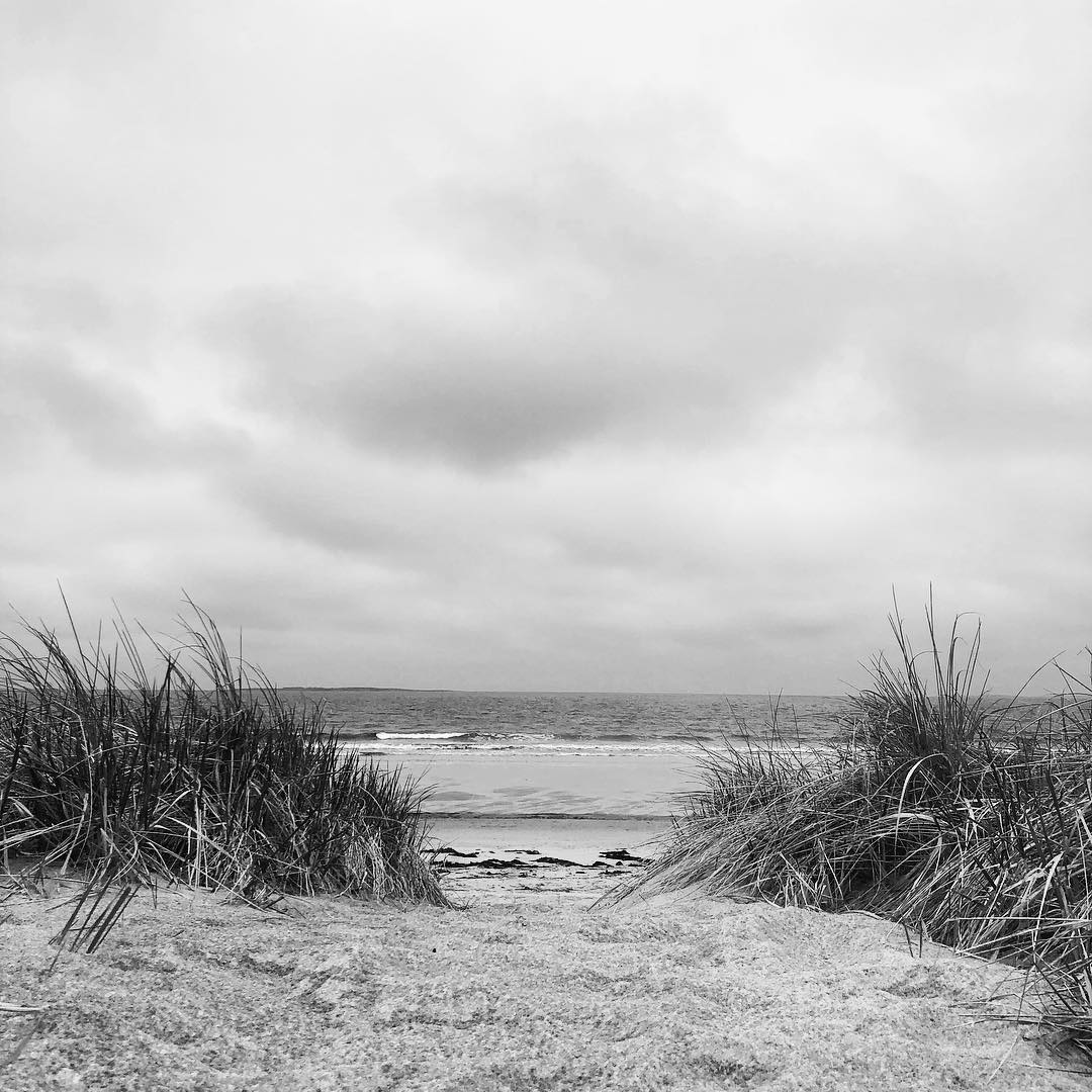 WavesResortOOB's tweet photo. #oldorchardbeach photo of the day by views_from_my_mind
🌊🌊🌊
#oob #maine #oldorchardbeachmaine #oobmaine #waves #wavesoceanfront #wavesoceanfrontresort #coastalmaine #mainebeaches #thebeach #coastlife #coastalliving #lovemaine #exploremaine #summerinmaine #coastaltownsofmaine https://t.co/W9NNqLWvqq