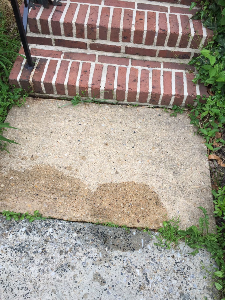 Whisp_res's tweet photo. Here is trash that blew in from the front street to my front porch!! #OrderOfTheWheel https://t.co/IBMfKmMYvy