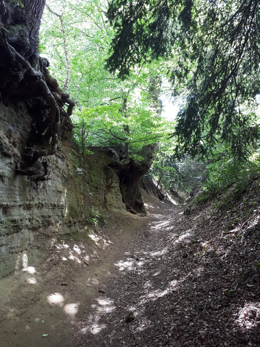 Great walk today 9miles done 😎