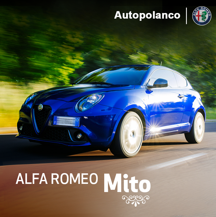 auto_alfa's tweet photo. #Mito: inteligente, audaz y agresivo. ¡Diversión garantizada!
Visítanos en @auto_alfa y conócelo. https://t.co/eaqUf0V9IQ