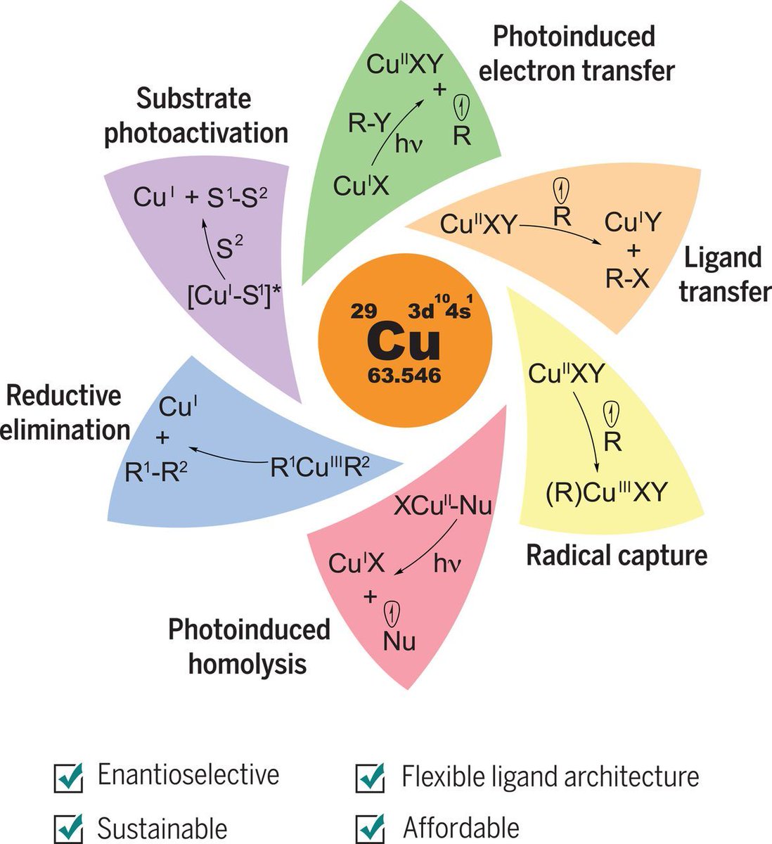 ScienceMagazine's tweet photo. Photoredox catalysis has relied primarily on complexes of precious #metals, such as #ruthenium or #iridium. But scientists are looking to #copper as a more affordable and sustainable alternative. ($) https://t.co/t3aYmhIhh2 #SciMagReview https://t.co/3Y0uA2tzcx