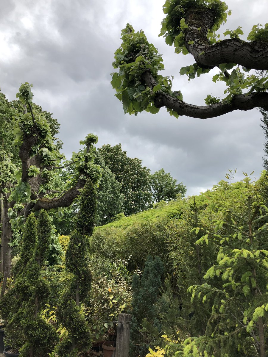 juste_pauline's tweet photo. Ce week-end les serres municipales de Toulouse sont ouvertes au public ... et c’est très chouette ! 😍 #SamediFleuri #FlowersAddict #VisitezToulouse #tourismeHG #tourismeOccitanie https://t.co/hENm9m4FiG