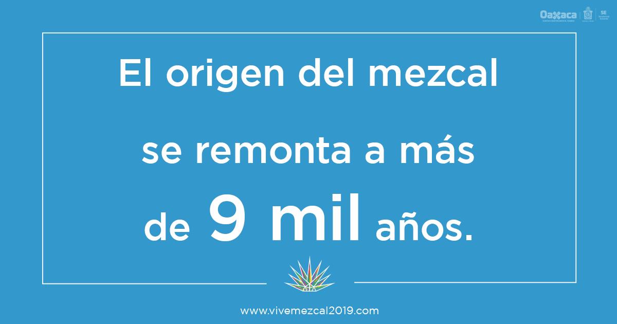_MundoMezcal's tweet photo. Celebra la #Tradición en el primer Foro Mundial del Mezcal. Regístrate gratis en: https://t.co/j82EIreJ0a
#ViveMezcal #MezcalEsOaxaca #ViveTradicion #Tradicion https://t.co/iuVGvoqYEv