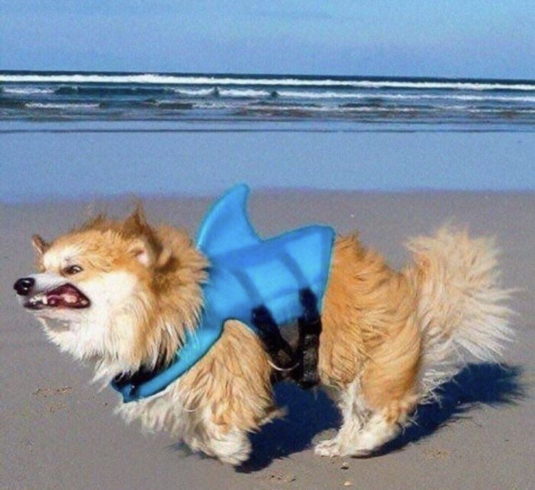 BeckyBooBoo82's tweet image. Summers coming up soon and I’m already hitting the beach