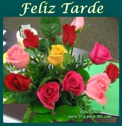 Raul Frias در توییتر Buenas Tardes Mi Querida Pilar Igualmente Que Disfrutes De La Tarde Noche De Sabado Un Abrazo Con Mucho Carino Y Besos Linda Tqm T Co Raqca5gk7g Raul Frias در توییتر Buenas Tardes Mi Querida Pilar Igualmente Que Disfrutes De La Tarde Noche De Sabado Un Abrazo Con Mucho Carino Y Besos Linda Tqm T Co Raqca5gk7g