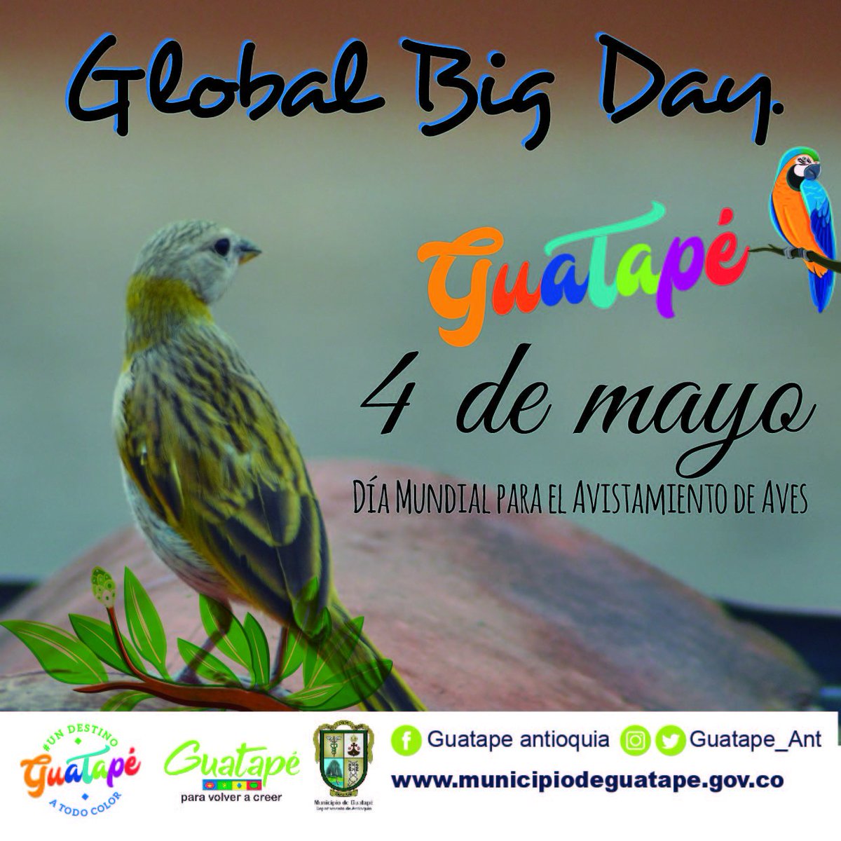 alcguatape's tweet photo. Antioquia, el territorio con más especies de aves reportadas en el Big Global Day de 2018, se ha venido convirtiendo en una potencia para el turismo de aves.
#GuatapéVolvioACreer #UnDestinoATodoColor https://t.co/MwcKxbAuzT