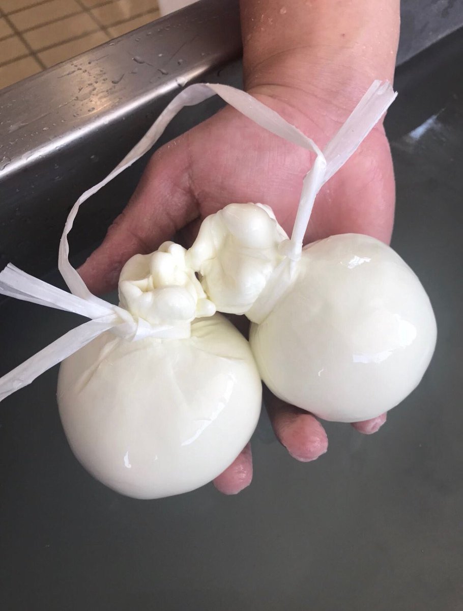 ⁦<a href="/ristoranti/">ristoranti italiani</a>⁩ burrata di bufala