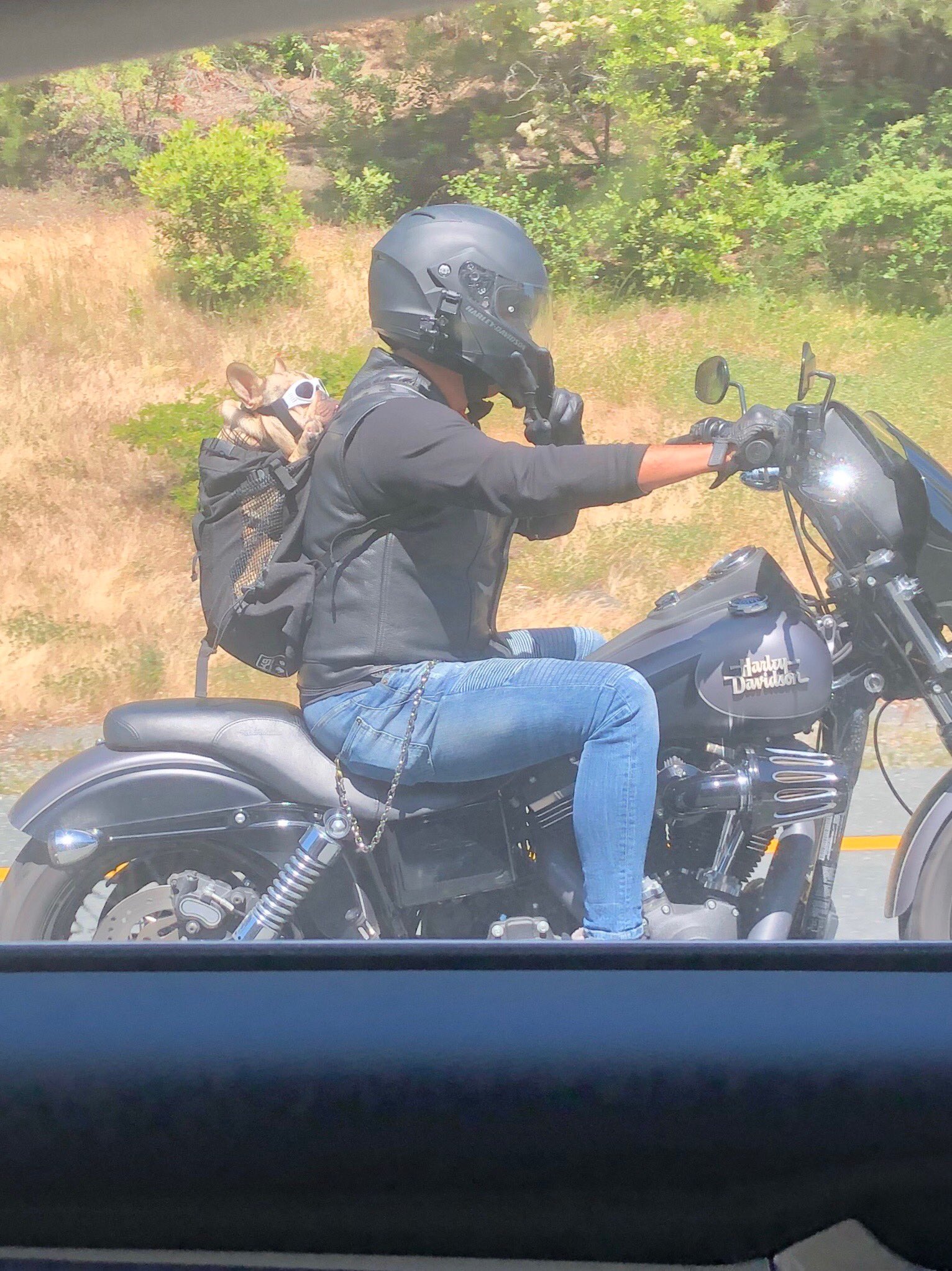 Motorcycle top dog backpack
