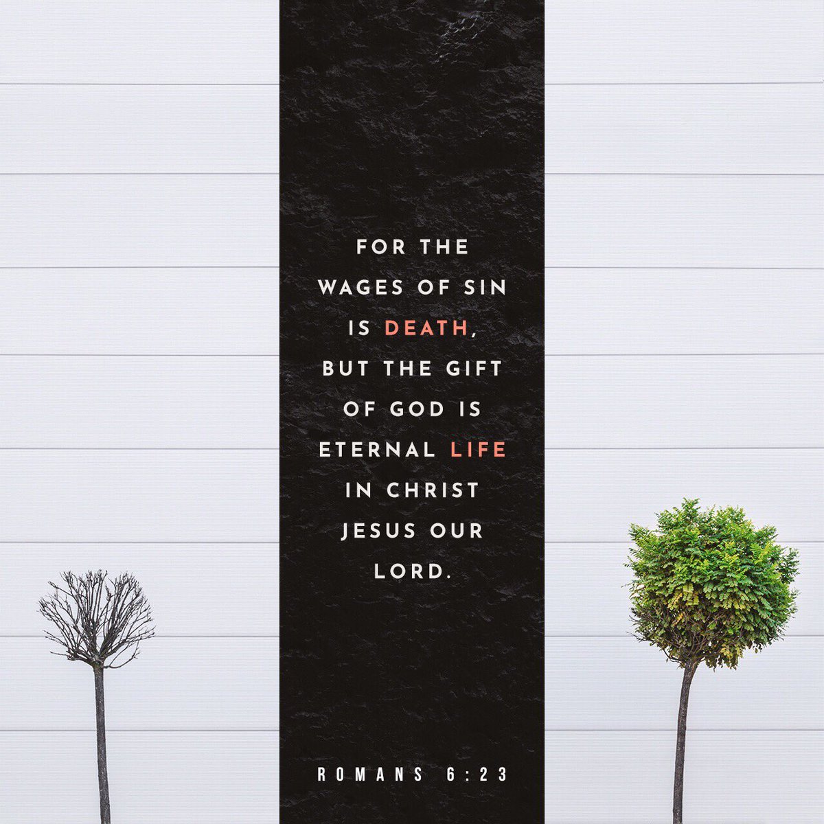 genarationof's tweet image. Romans 6:23 NKJV