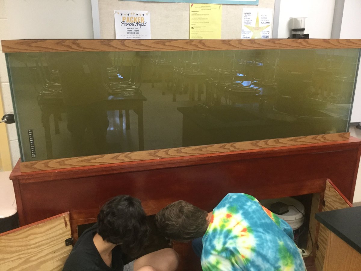 MercerEarth's tweet photo. Huge thanks to the Hempley's in helping collect ~150 gallons of brackish water+  It's alive! https://t.co/L9fKkSKv8W