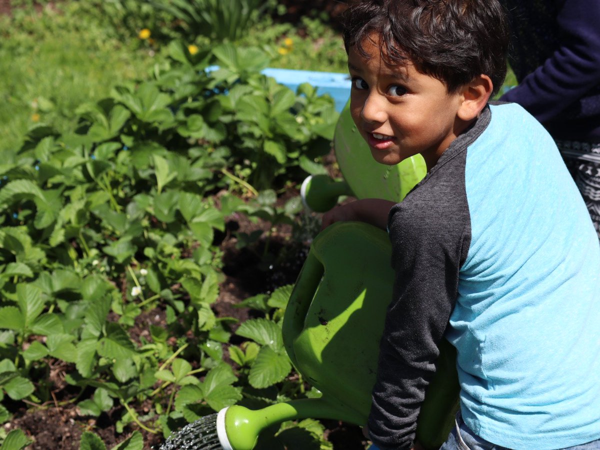 newcomoutreach's tweet photo. Thanks to everyone who came out to plant and paint the Jackie Robinson Elementary School garden beds this morning! https://t.co/lqmaMc18sy