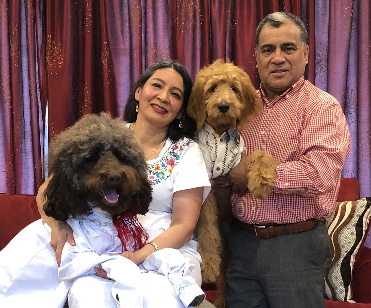 AndyCordova24's tweet photo. Mom 2 years ago: I don’t want dogs 
Mom last year: No dogs on the couch or beds
Mom now: https://t.co/zTRg2ru2NS