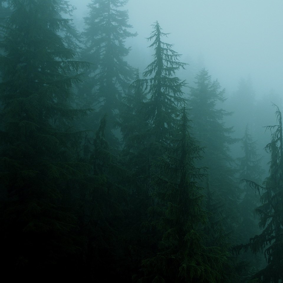 We just got this #Harvest Test  Results!! It's looking 🔥🔥🔥 &amp; we will be announcing 2 brand new #Strains!

#SpadyBud #BestQualityGardens #BQGardens #BQG #Cannabis #Marijuana #Weed #Kush #Ganja #MaryJane #Hemp #Pot #PacificNorthwest #PNW #Washington #WA

I-502 Compliant.