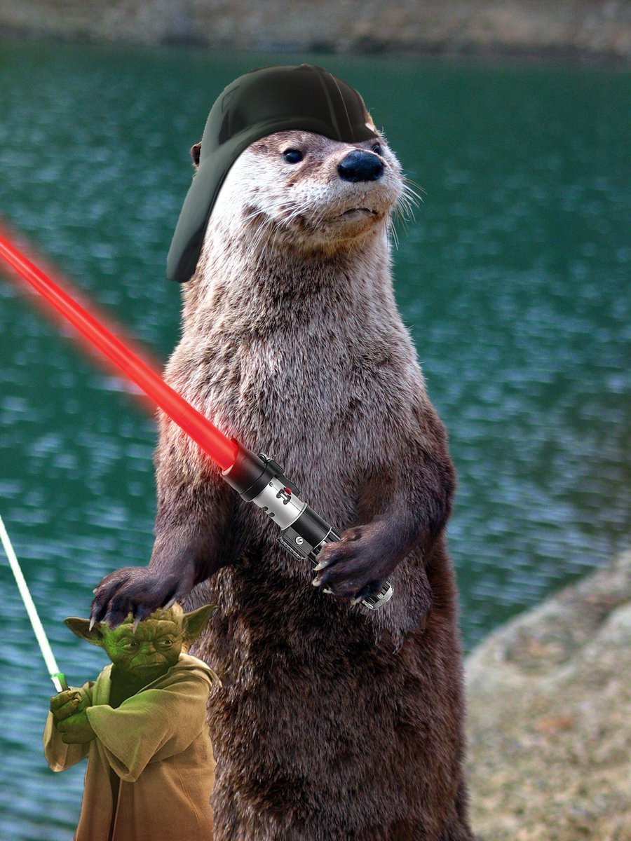 spacechelle's tweet photo. Otter &amp; @starwars... yes! Otterly out of this world! 

#StarWarsDay #MayThe4BeWithYou  #mustloveotters https://t.co/PUwtQPuAJ5