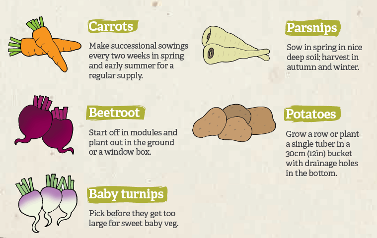 WildlifeTrusts's tweet photo. Growing your own is good for you and good for nature too 🍆🌶️🍅🐞🐝😀 #EdibleBritain #NationalGardeningWeek https://t.co/vuK3ItRyNT
