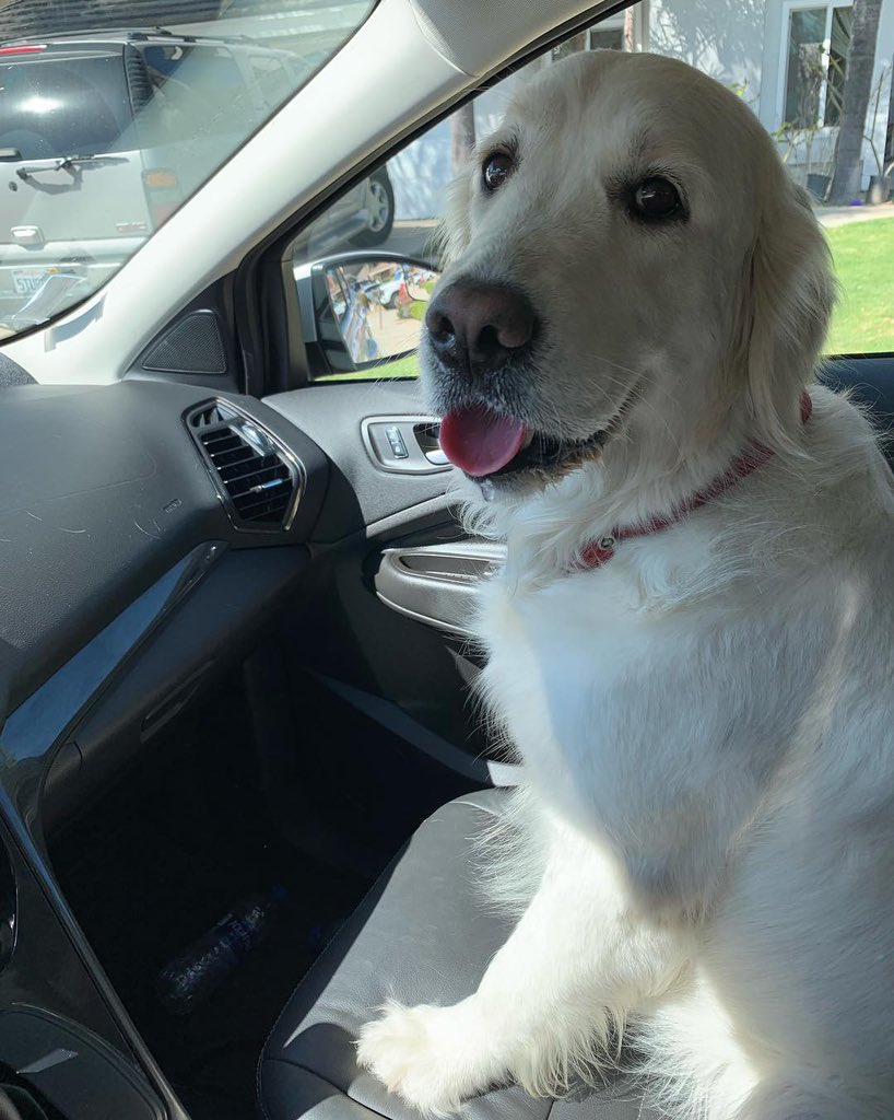 Ethan Nestor on Twitter "Spencer when leaves move too quickly…