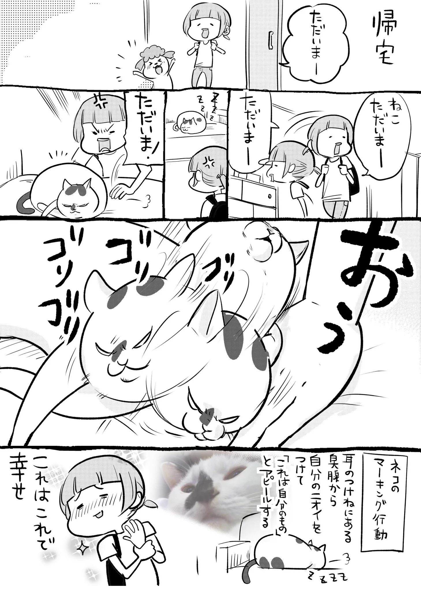 犬と猫のおかえりなさいは全然違うけどどちらも愛しいww