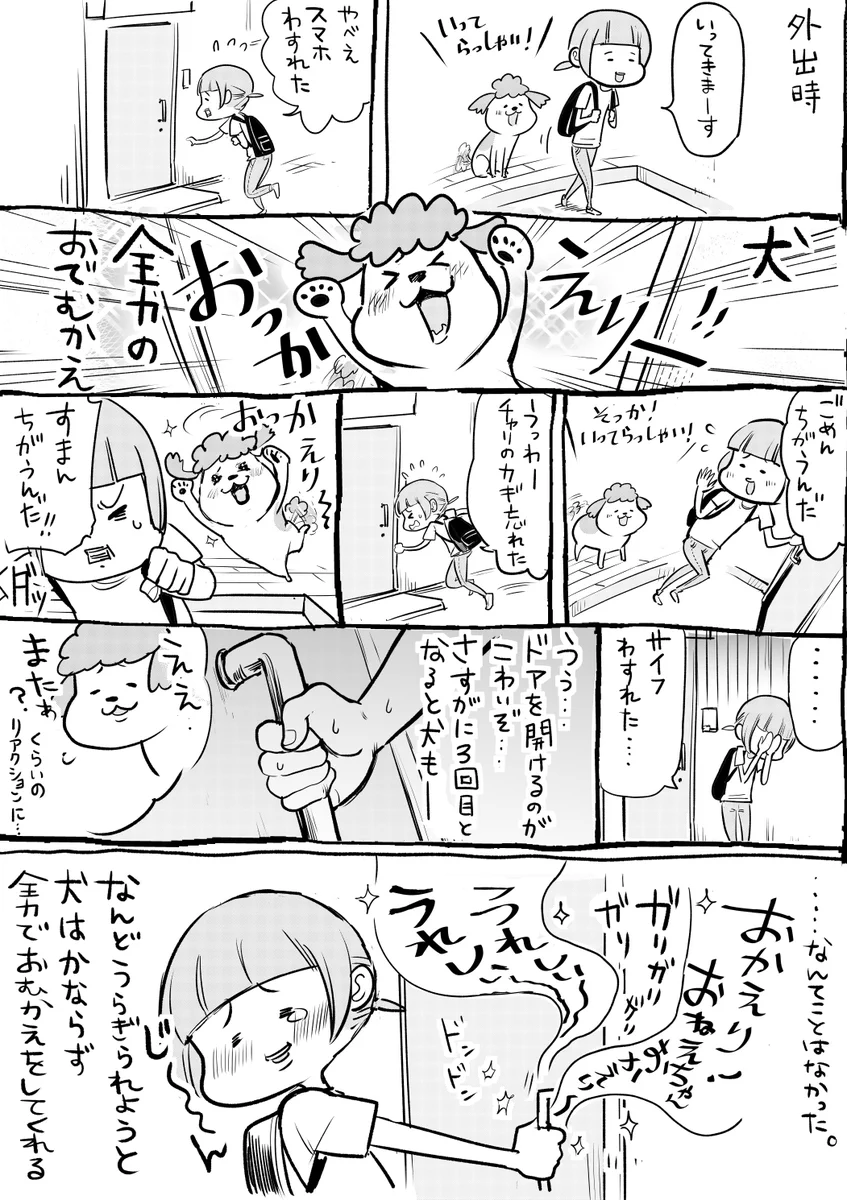 犬と猫のおかえりなさいは全然違うけどどちらも愛しいww