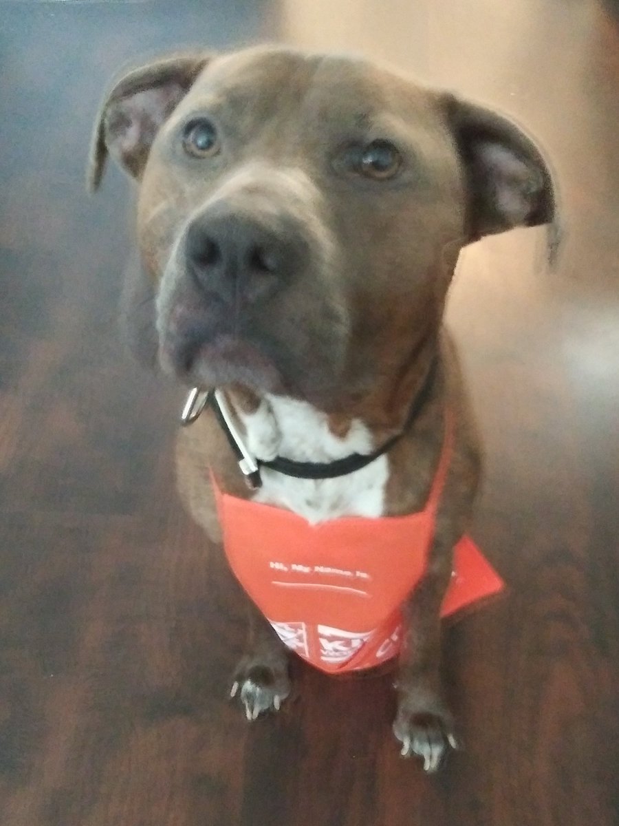VenomousKiss6's tweet image. Hello,welcome to Home Depot.
My name is Rocco,how can i help you?