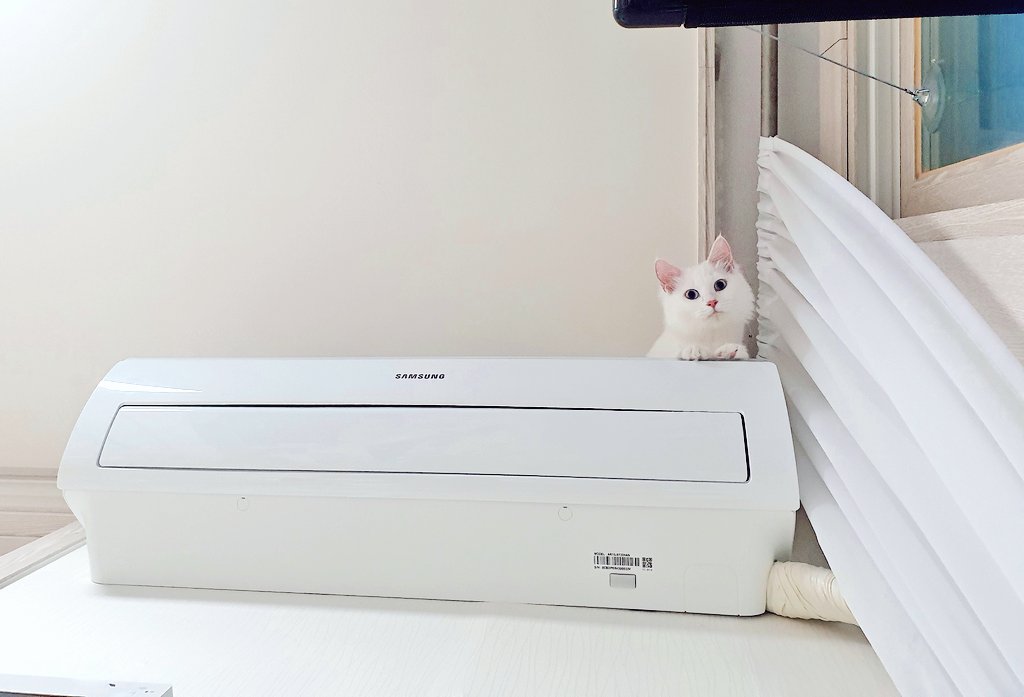 구름아 언니 쇼파에 누워있다가 진짜 놀랐다