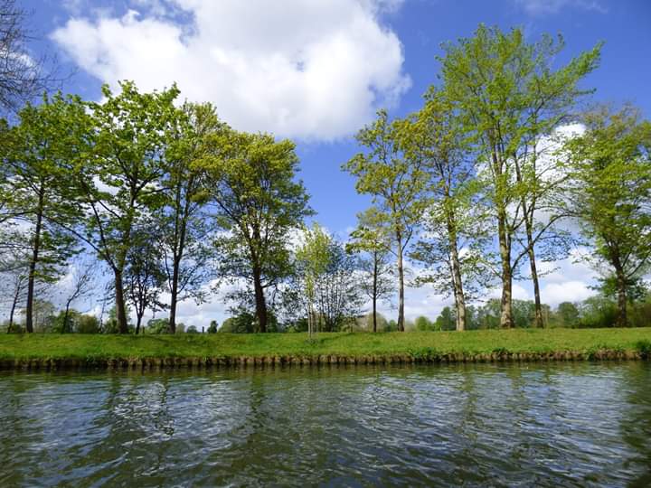 Hired a pedalo this morning and took a trip down the River Cherwell past Christ Church Meadow. #Oxford #Oxfordshire