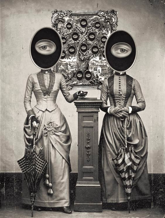 Daniela Macorin tweet media