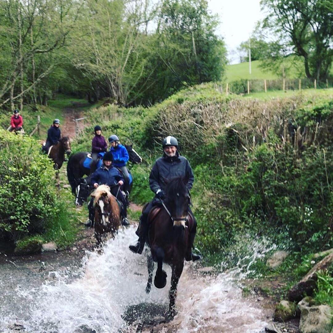 Trail-riding holidays for competent  riders - explore the Brecon Beacons on horseback. Our fine home-bred #welshsecD horses are perfect for the job. #horseridingholidays #ridewales #TheDifferenceIsOurHorses