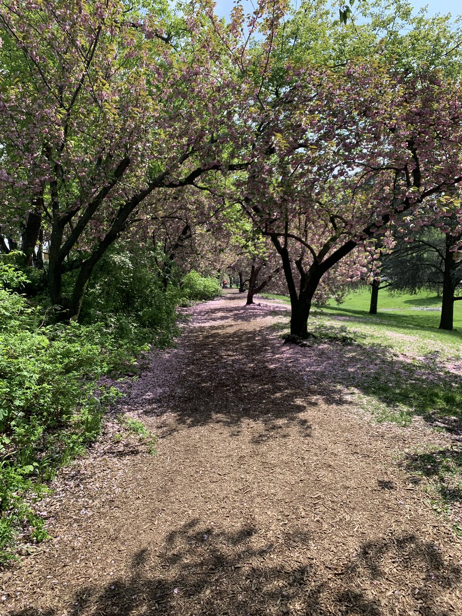 JohnLegere's tweet photo. It’s officially Spring and this is one of the #TopTen @CentralParkNYC running days... get out and run or walk especially if in NYC and near Park! https://t.co/PzomOSCjJg