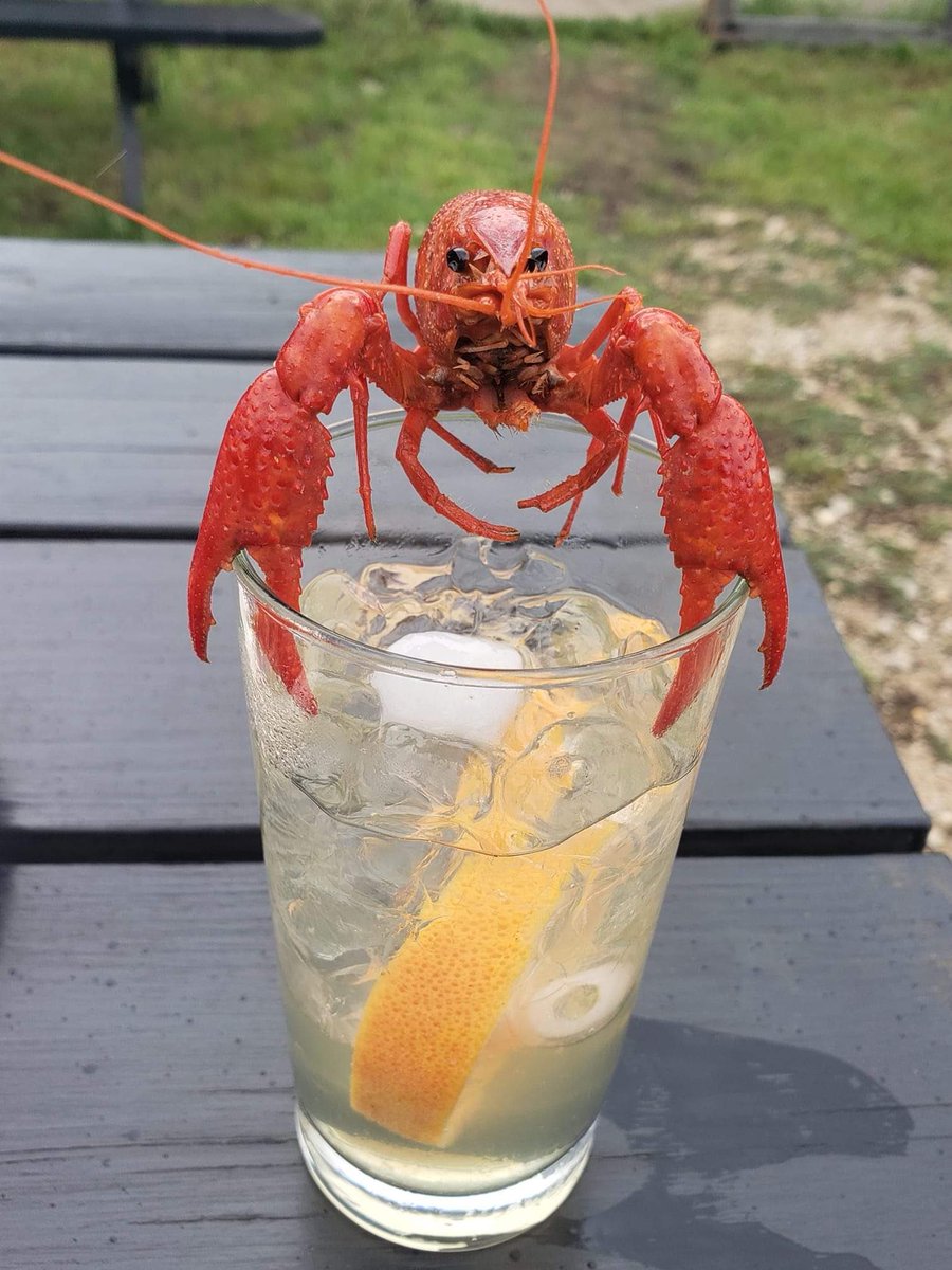 RevolutionSpirits tweet media