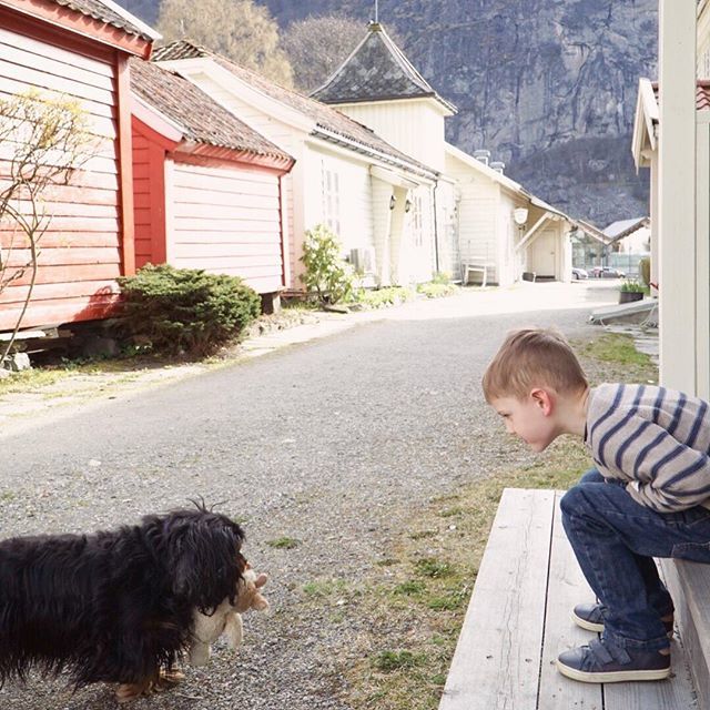 CompassCalling's tweet image. Making friends everywhere we go, bonus points if they are furry. It’s always fun when local inns have resident pooches. This quaint one (@vangsgaarden) was no exception. It helps that language isn’t a barrier too! #furryfriends #aurland #guesthouses #nor… bit.ly/2Veia6P